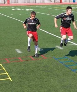 Kwik Goal Soccer Mini Speed Ladder, 16A2201 -Deals Soccer Store a11 785 16