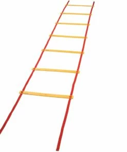 Champion 20' Speed & Agility Ladder, AGLXX